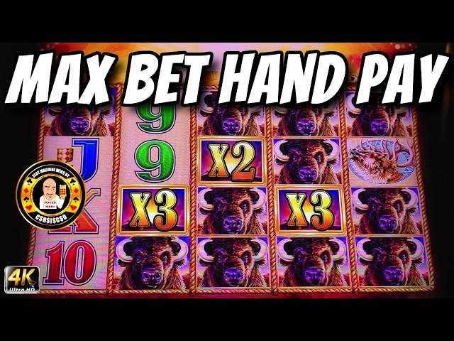 MAX BET JACKPOT HAND PAY on Buffalo Gold