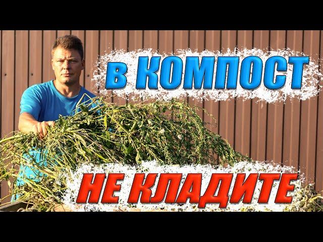 Самая лучшая закваска для компоста, какую траву нельзя класть в компост