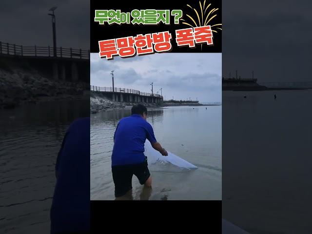 무엇이 있을지? 투망 한방 폭죽 #shorts #fishing #취미 #바다투망 #취미생활 #투망