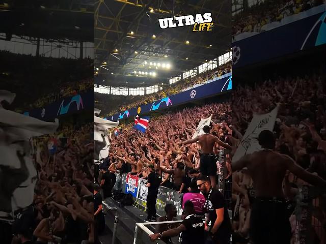 PSG Fans at Signa Iduna Park | Dortmund vs Paris SG CHAMPIONS LEAGUE 1.5.2024