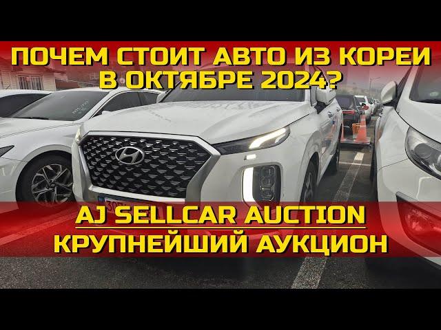 ПОЧЕМ СТОИТ АВТО ИЗ КОРЕИ В ОКТЯБРЕ 2024 ГОДУ? КРУПНЕЙШИЙ АУКЦИОН AJ SELLCAR AUCITON. EA AUTO GROUP