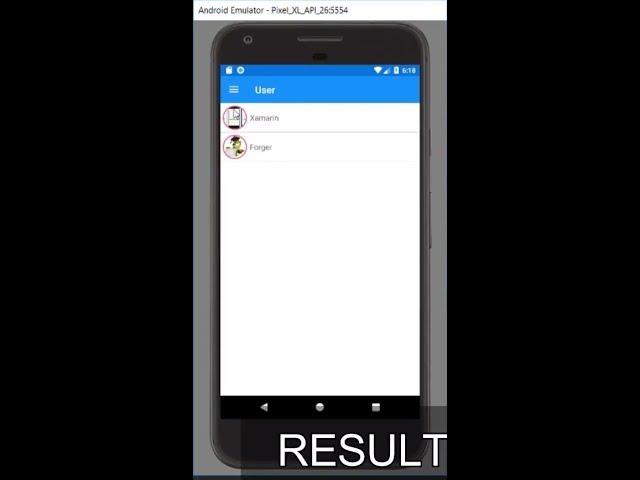 Xamarin.Forms Add Circle Images .Net Standard 2.0 Android C#