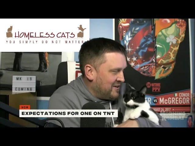 Morning Kombat’s Homeless Cat 2021