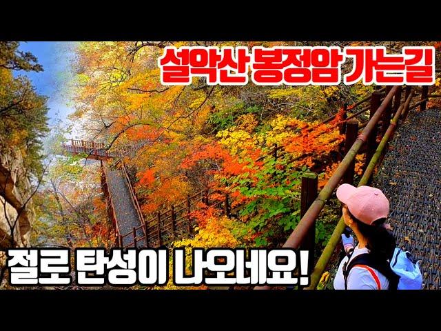 세상에서 가장 아름다운 순례길! 설악산 봉정암 가는길에 단풍이 절정입니다^^ (241016일 방문)설악산단풍/10월 여행지 추천/가을 산행/강원도여행/국내여행/korea