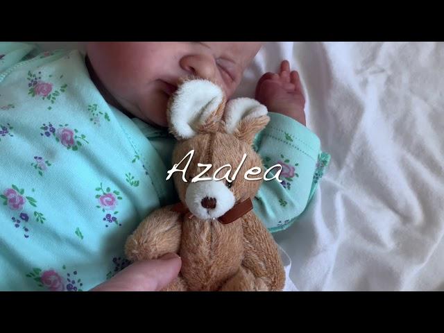 Reborn doll Azalea By Laura Lee Eagles/artist Tanya Latashevska