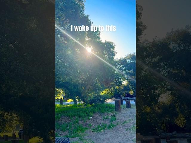 I woke up to this #shorts #vanlife