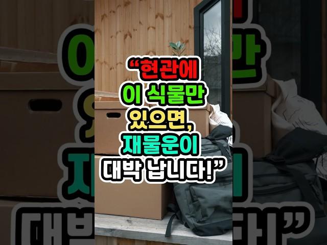 현관에 이 식물만  있으면 재물운이 대박납니다#풍수 #사주#재물운