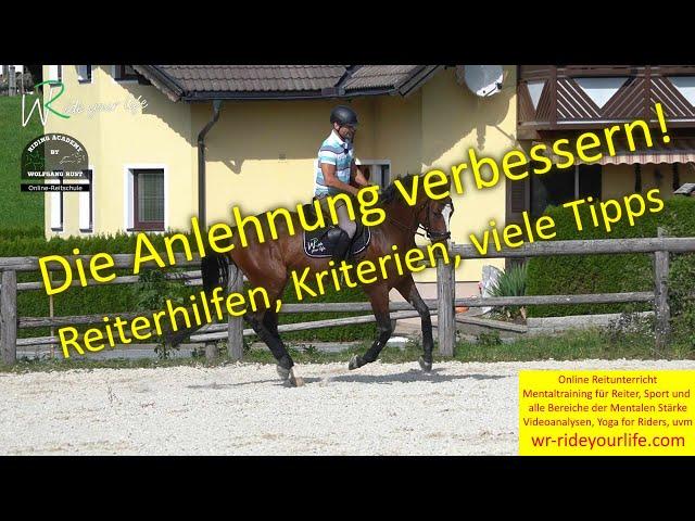 F171 Die Anlehnung- darum ist sie so wichtig! Dehnung an den Außenzügel. Fleiß vs Eilig im Schritt