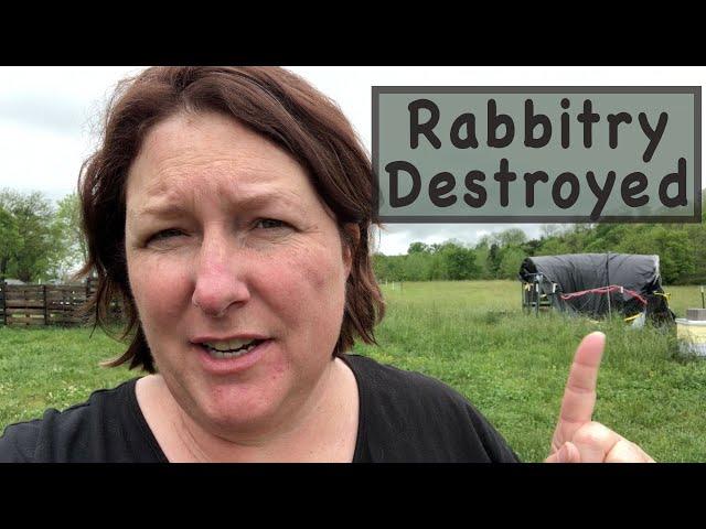 Rabbitry Destroyed and Rebuilt