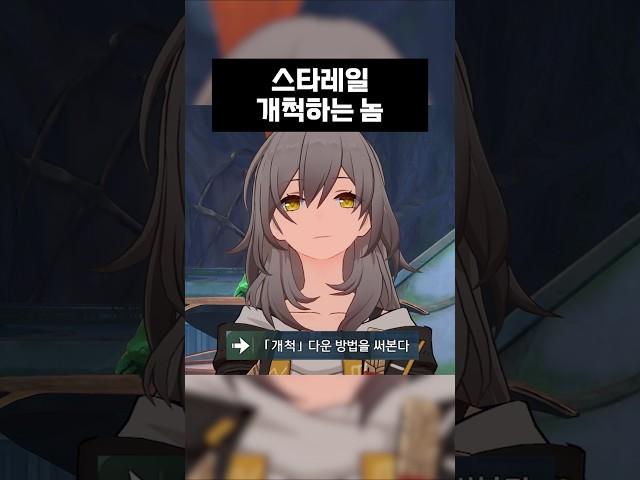 개척하는 척자