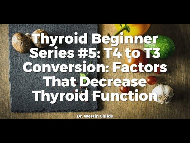 (TBS #5) T4 to T3 Conversion: Factors That Decrease Thyroid Function