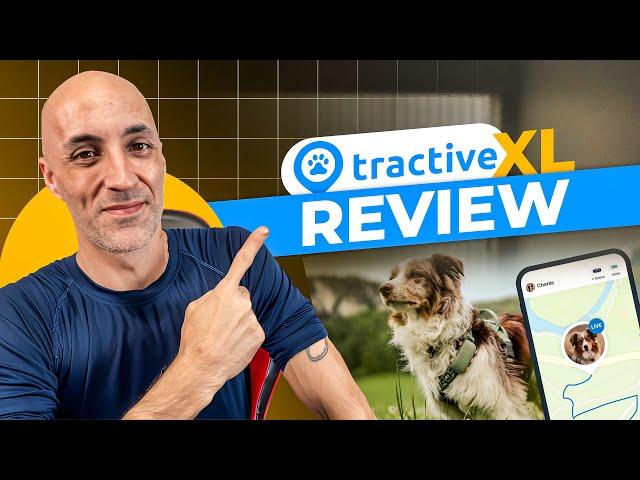 Tractive XL GPS Dog Tracker Review in 3 MINUTES!