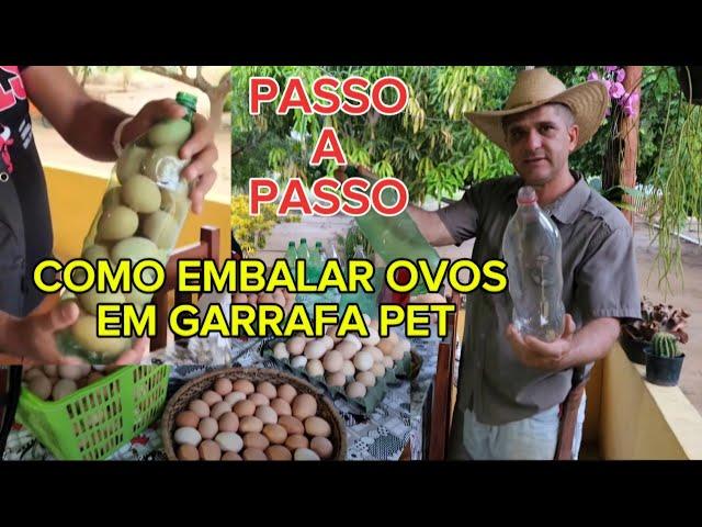 VENDENDO NOSSA PRODUÇÃO DE OVOS CAIPIRA. / COMO EMBALAR OVOS DE FORMA ARTESANAL