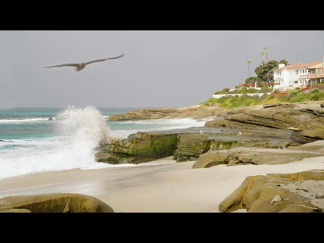 Windansea Beach La Jolla California | 4k WAVES CRASHING | Meditation and Relaxation