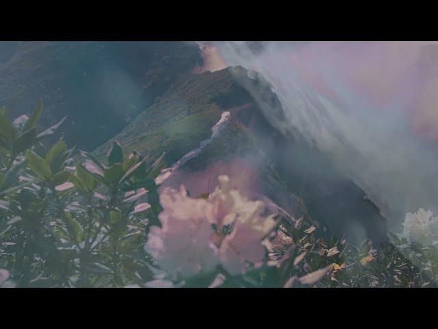 Blackbird Blackbird - Waves (feat. MEDHA) (Visualizer)