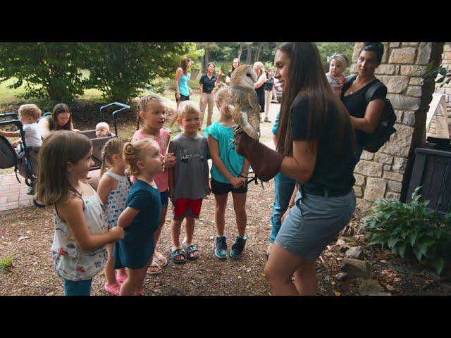 Interact with the birds at the Ohio Bird Sanctuary in Mansfield, Ohio.