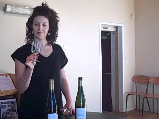 Waipara Springs Classic Riesling Tasting