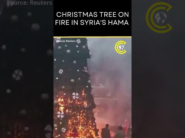 Christmas Tree Burns In Hama, Sparks Protests In Damascus | CLRCUT