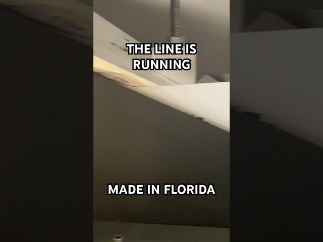 𝗧𝗿𝗮𝗰𝗲 𝗘𝘆𝗲-𝗗 | Made in Florida