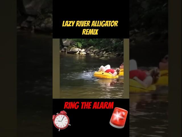 Lazy River Alligator REMIX #tubing #lazyriver #alligator #comedy #comedyshorts #animals #nature