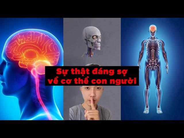 Cơ thể con người đáng sợ hơn bạn nghĩ | Caocuongvu