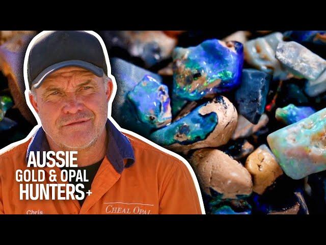 The Cheals Find $60,000 Worth Of Black Opal! | Outback Opal Hunters