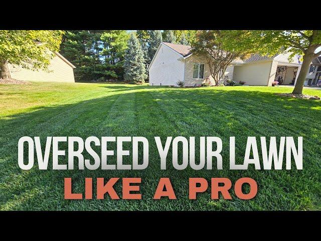 Overseed Your Lawn Like A Pro: 3 Must-Know Tips For Success