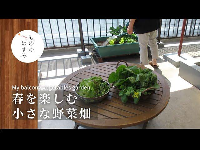 【 Spring joy 】The growth of lush plants gives me a lot of energy.#91