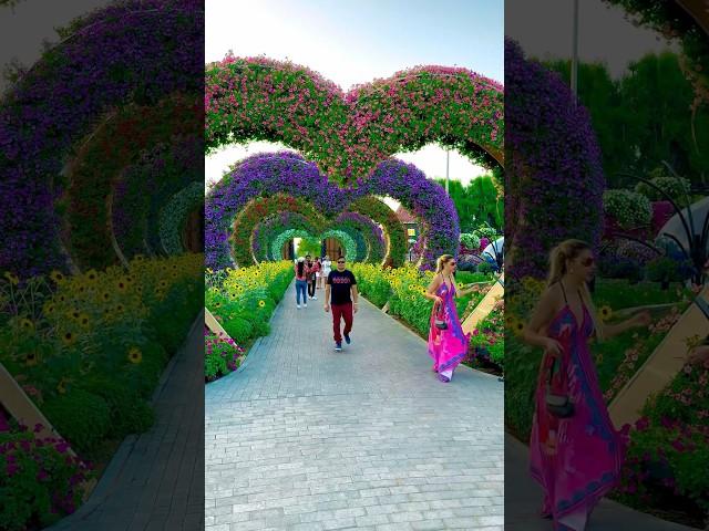 Miracle Garden Dubai #trending #garden #miraclegarden #nature #naturelovers #garden