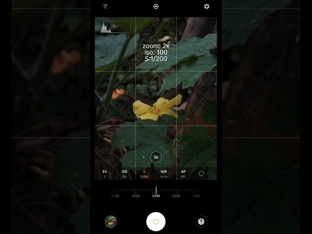 Dslr type photography with your mobile  | Mobile pro mode
