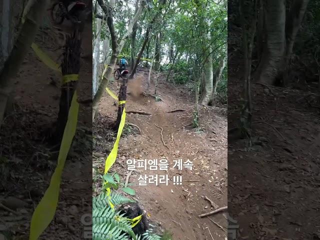 알피엠을 계속 살려라!!(오프로드 바이크) #하드엔듀로 2017년식 2티 250 카브셋팅 #대만하드엔듀로