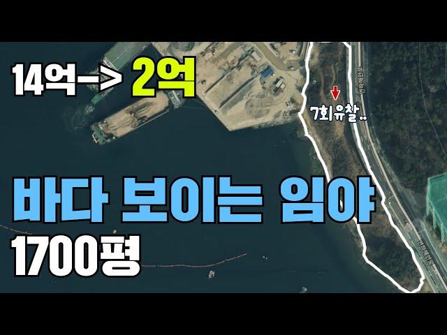 바다 보이는 임야 1700평 (14억 에서 2억까지 유찰)