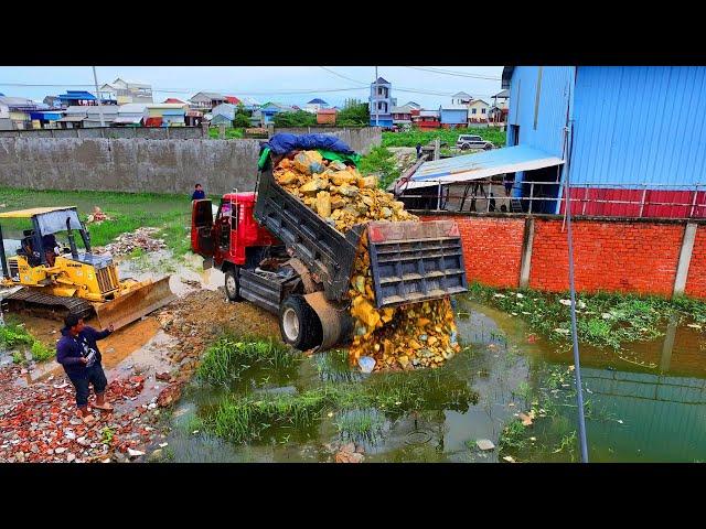 Start New Project Flooded area Landfill !! Bulldozer KomatSu D20p Push Stone , 5-Ton Truck Unloading