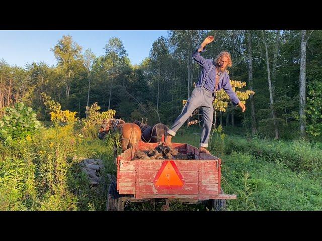 Bringing in the Firewood 🪵 | Titus Morris’ Henson Creek Farm