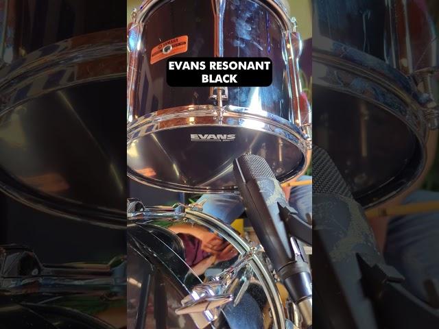 Evans Reso Head Comparison