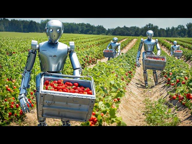 How Robots Harvest Millions of Acres of Farmland Every Day