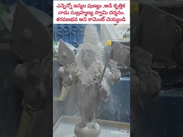 ఆడికృత్తిక సుబ్రహ్మణ్య దర్శనం #tuesdaydevotional #aadikrithigai #subramanyaswamy #krittika #trending