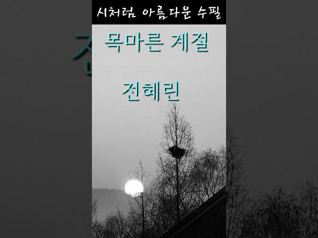 수필낭독/목마른 계절/전혜린#수필 #낭독