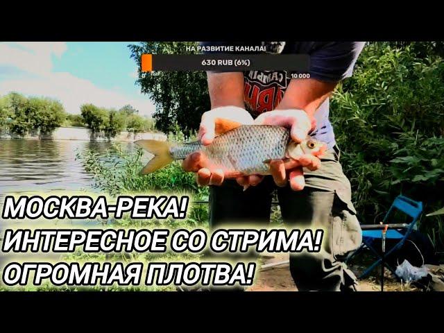 РЫБАЛКА НА МОСКВА-РЕКЕ! В ПРЯМОМ ЭФИРЕ ОТ 11.07.24. ЛУЧШИЕ МОМЕНТЫ. ПОПАЛАСЬ ОГРОМНАЯ ПЛОТВА!