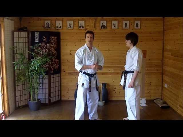 Kata Bunkai Video Tutorial 13 - Seishan (Hangetsu) Kata