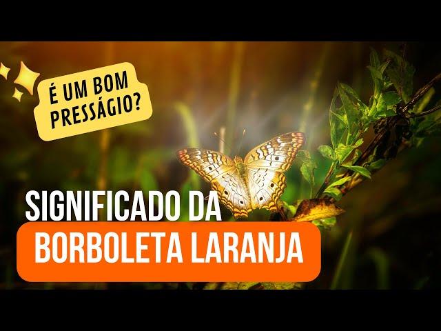 BORBOLETA LARANJA SIGNIFICADO ESPIRITUAL