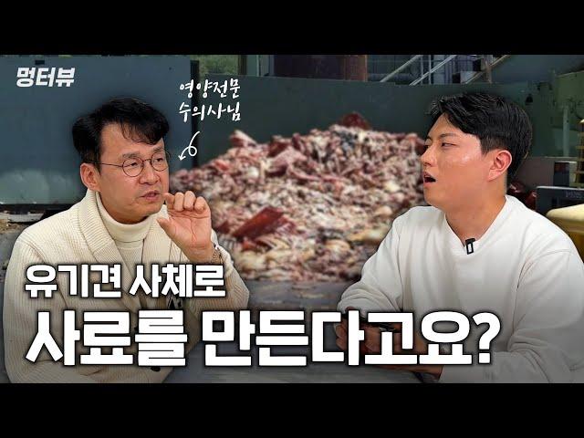 강아지 사료, 간식, 영양제 아직도 고민이세요? 이런 건 믿고 거르세요 | 멍터뷰ep.9