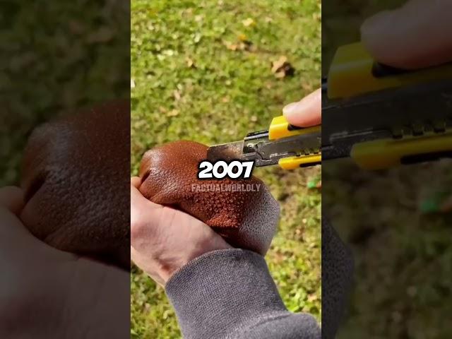 Bizarre Facts Nobody Knew #facts #random #interestingfacts #satisfying #asmr #viral #shorts