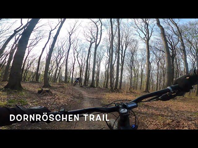 DORNRÖSCHEN TRAIL KAHLENBERG 2021 | Abendrunde und erster Test GoPro8  | Alexander Schuster