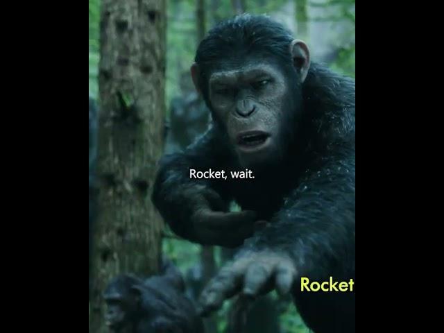 "Koba vs. Caesar: The Clash That Divided the Apes!  #PlanetOfTheApes"