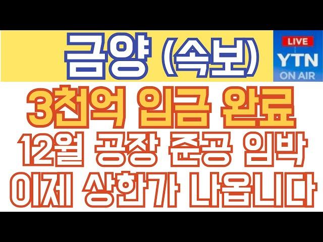 금양 주가전망 - 속보) 3천억 입금 완료! 12월 공장 준공 임박! 이제 상한가 나옵니다!