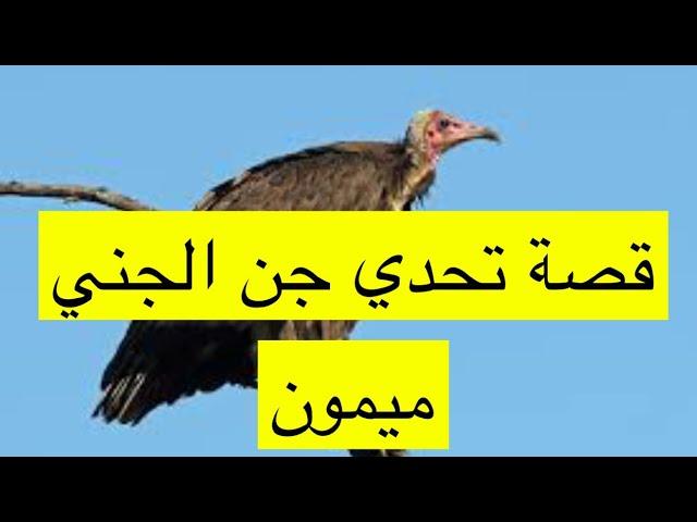٢١٤_قصة تحدي جن الوادي لمن الغلبة
