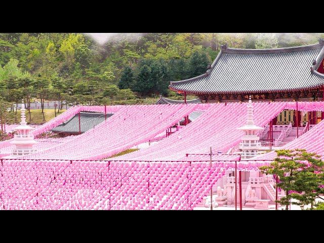현지사 찬불가 - 염불삼매 [4k] 60분