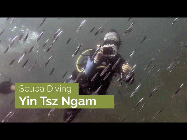 Yin Tsz Ngam | Five Great Scuba Dives