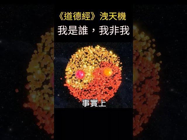 《道德經》洩天機：我是誰，我非我？ | 解開心鎖，放飛自由 | 我是誰的覺悟與啟示 #靈性成長 #覺醒 #開悟